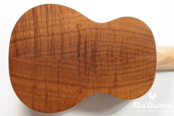 KOA-SOP